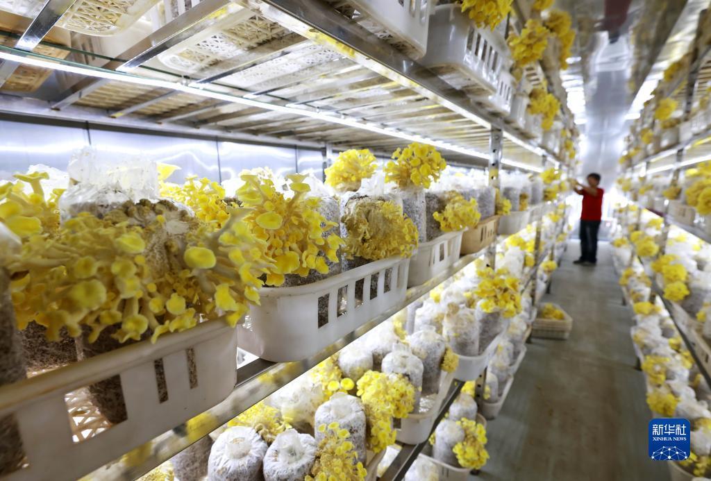金沙手机网投老品牌值得信赖